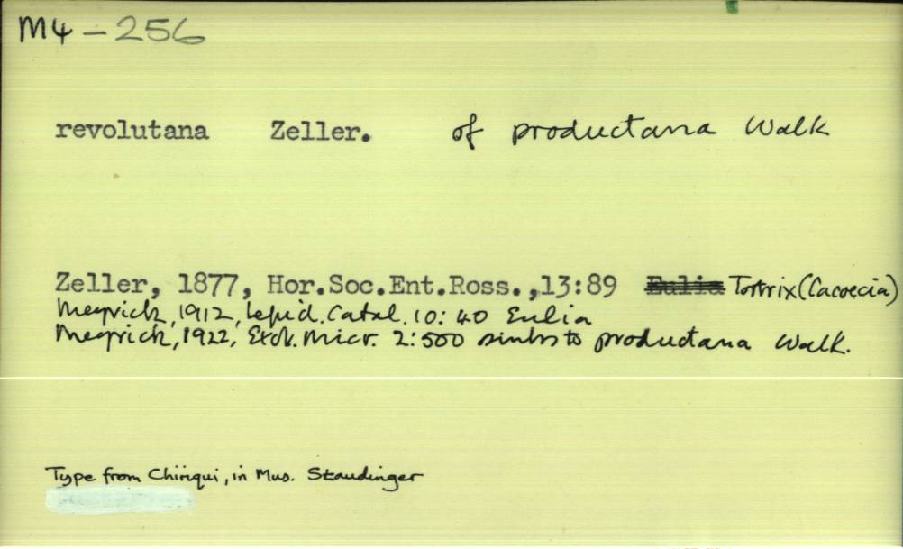 front of card
